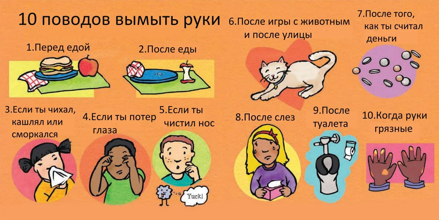 Накануне Всемирного дня чистых рук эпидемиолог расскажет по телефону о гигиене